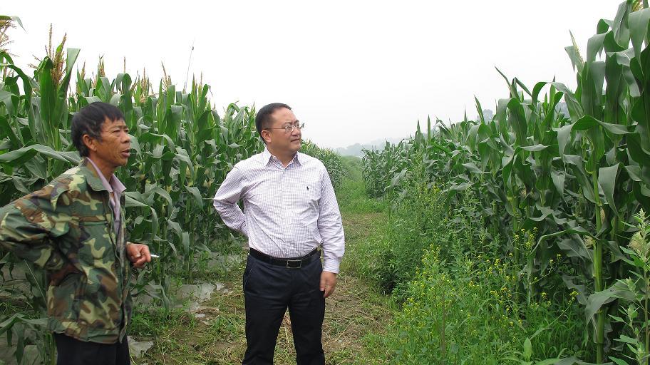 必赢(中国)官方网站