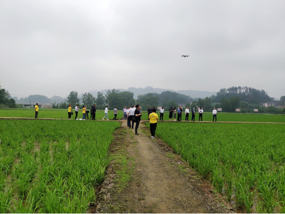 新闻通稿:储备安全 科学减损——2023年重庆市粮食科技活动周启动1276.png 必赢(中国)官方网站