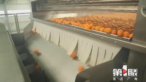 必赢(中国)官方网站