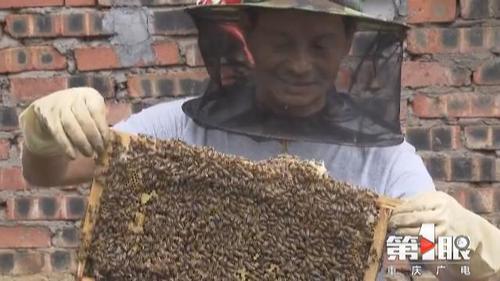 必赢(中国)官方网站