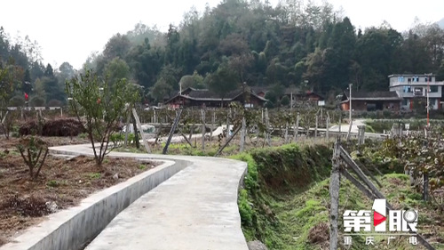 必赢(中国)官方网站