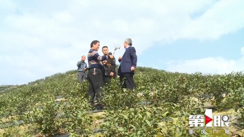 必赢(中国)官方网站