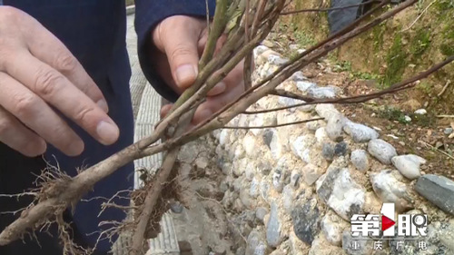 必赢(中国)官方网站