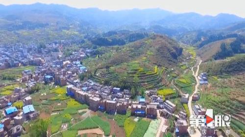 必赢(中国)官方网站