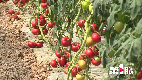 必赢(中国)官方网站